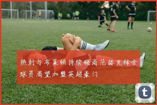 热刺与布莱顿持续磋商范赫克转会球员渴望加盟英超豪门