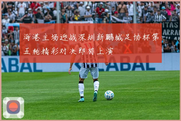 海港主场迎战深圳新鹏城足协杯第五轮精彩对决即将上演